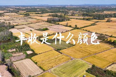 春種一粒粟，秋收萬(wàn)顆子。多彩的豐收季，只愿五谷豐登，百事興旺3.240_400.jpg