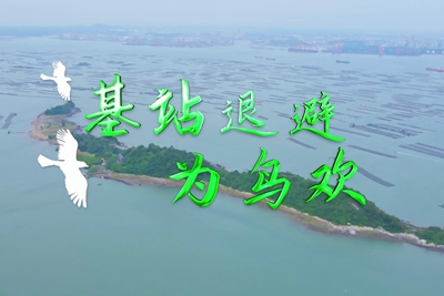 基站退避為鳥(niǎo)歡 3.500_400.jpg
